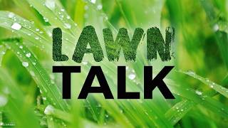 The surprising lawn care tip most homeowners miss in spring
