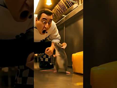 موش شکمو  شلتنا    المراه اعتني اهميه  موسيقار