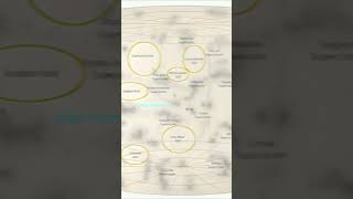 The discovery of voids in the Universe #astronomy #space #universe