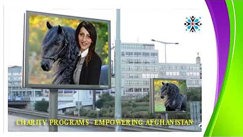 An Overview of Hussina Paktiawals Professional Jou...