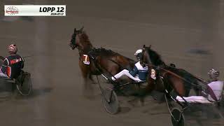 Vidéo de la course PMU PRIX DE BERNAY