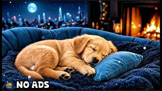 12 Hours Of Dog Calming Music 🎶 Deep Sleep Support 🐶 Separation Relief 🎵