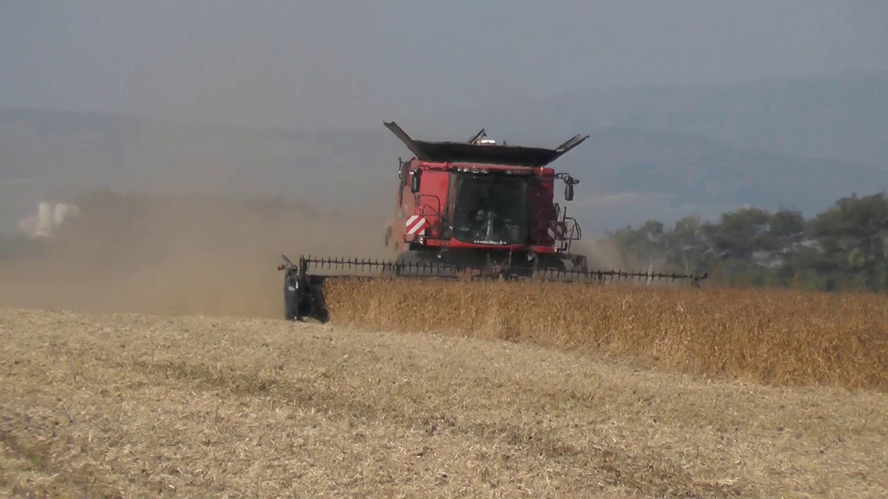 Getreide Ernte 2018 mit Case IH 9230 Rodor Drescher was wird hier geerntet