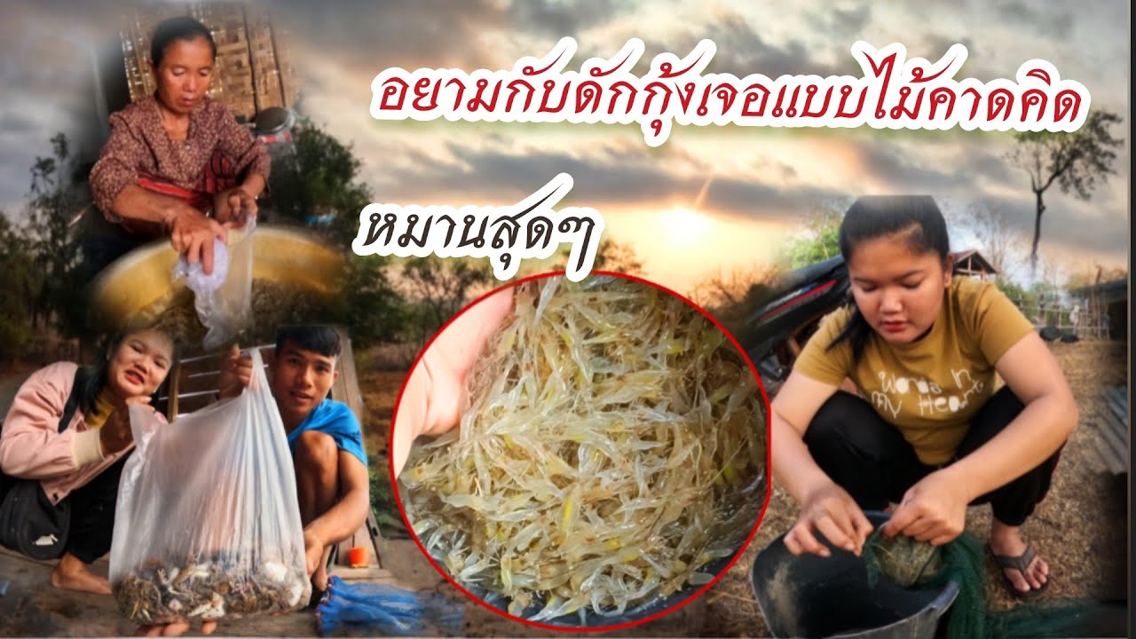 1 มีนาคม ค.ศ. 2026อยามกับดักกุ้งเจอแบบไม่คาดคิดหมานสุดๆ//ຍາມຕຸ້ມກຸ້ງເຈິແບບບໍຄາດຄິດຫມານສູດໆ