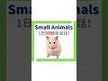 Small animals!!!#子ども英会話 #子どもの発達 #英会話 #kidslearning #子育て