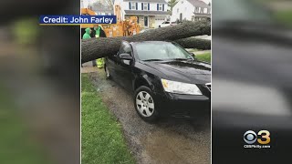 Whipping Winds Batter Philadelphia, Surrounding Counties