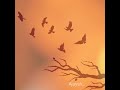 Chod aaye hum ....galiyaan.Ajaysh Whatsapp Status Video Download Free