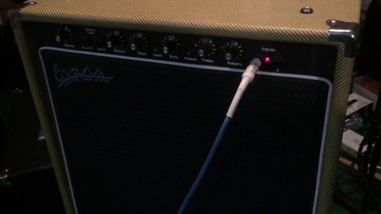 Evans E200 Pedal Steel Guitar Amp YouTube