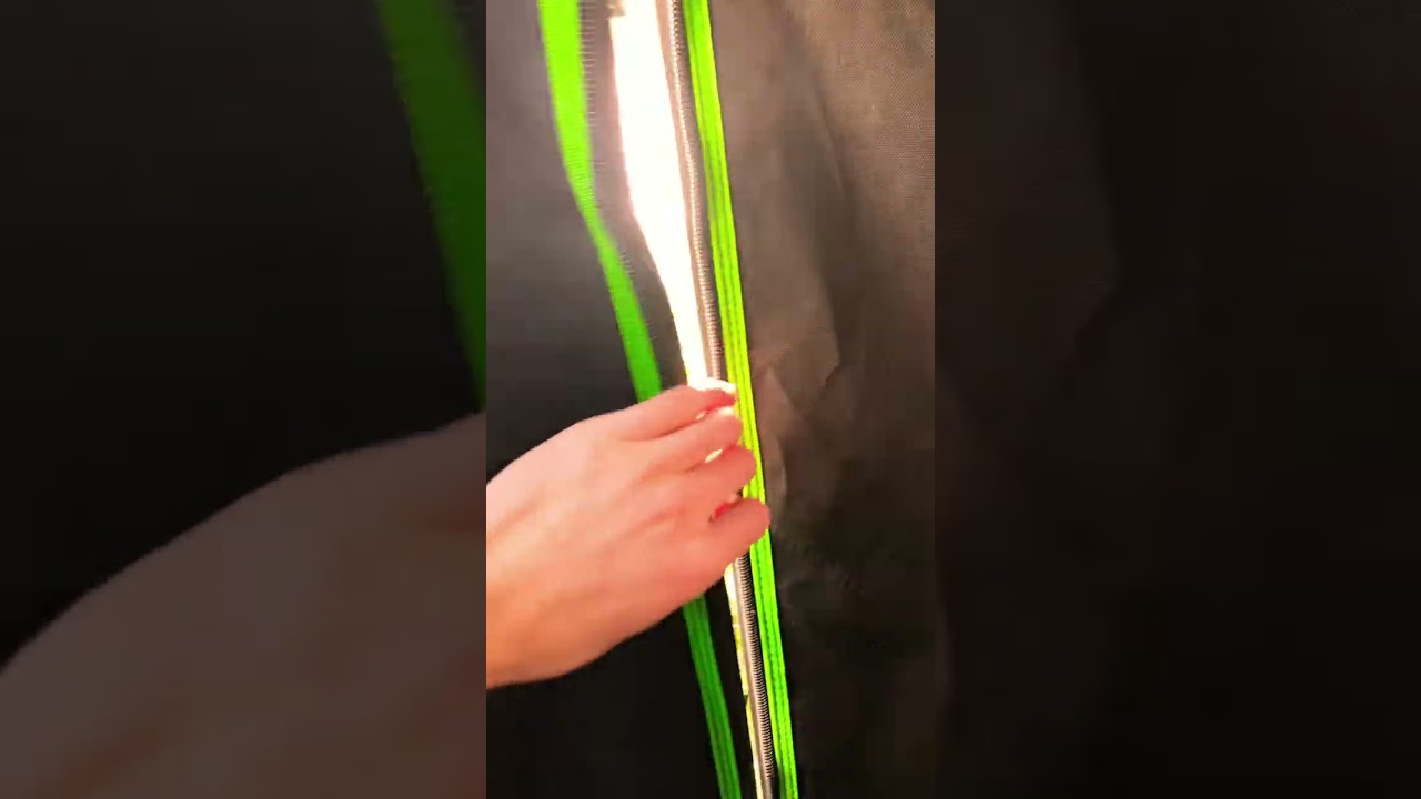 Paradise Room, My Favourite strain in 2022!