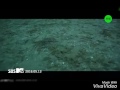 اغنية بي تي اس Save Me مسرعة فديت رقصهم 