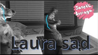 Laura Sad Directioner