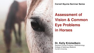 Assessment of vision & common eye problems in horses - Cornell Equine Seminar Series, March 2022
