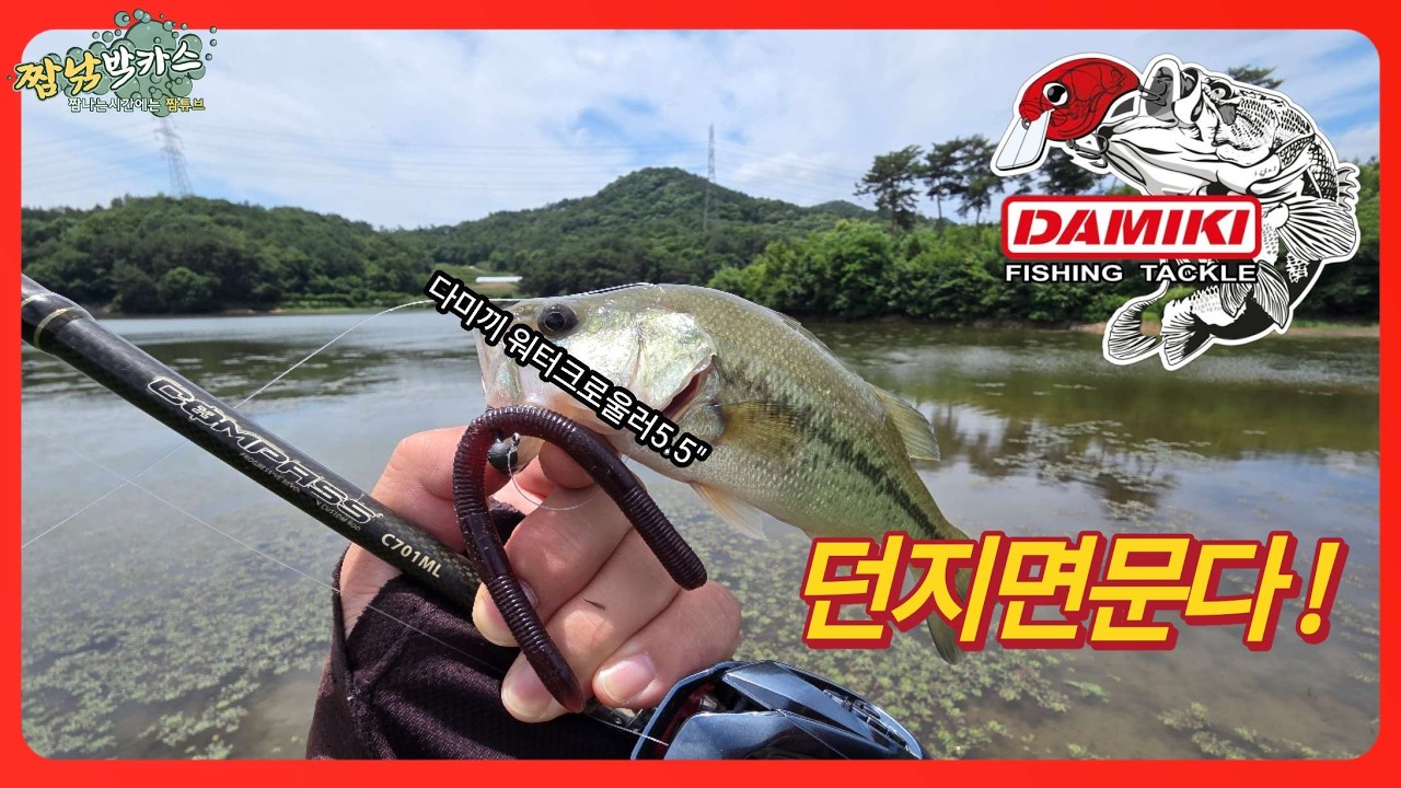 배스낚시 이 루어 던지고 안나오면 고기없는것! #다미끼 #다미끼루어 #배스낚시 #DAMIKI #DAMIKIFISHING #bassfishing #fishing