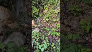 “Yürek Sancisi” Kiz Neyi̇ İle Yorumlama