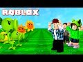 Roblox - PLANTAS VS ZUMBIS (Roblox Plants vs Zombies)