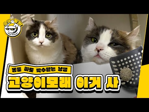 <strong>네버</strong> 없을 에버크린 기획전 대폭 할인✨ 깔자마자  @김쫀떡 이는 감자 생성ㅣ스웩마켓