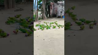 Sona ke gar galar sunara jaane