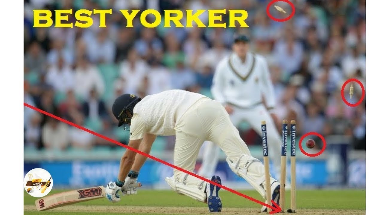 Top 10 Best Yorkers in Cricket History Ever - YouTube