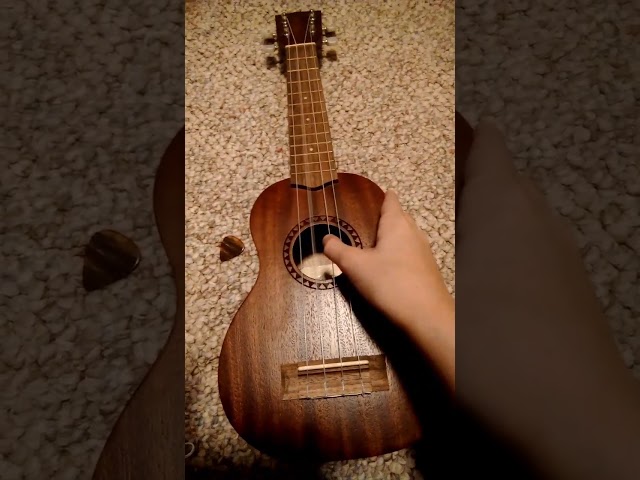 WHAT A TUNED UKULELE SHOULD SOUND LIKE! class=