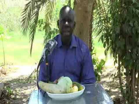 Video Sen wer gi yaram 580: L'infection urinaire - youtube