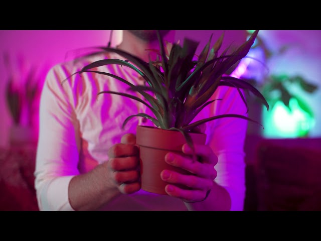ASMR - Fast and aggressive scratching assortment