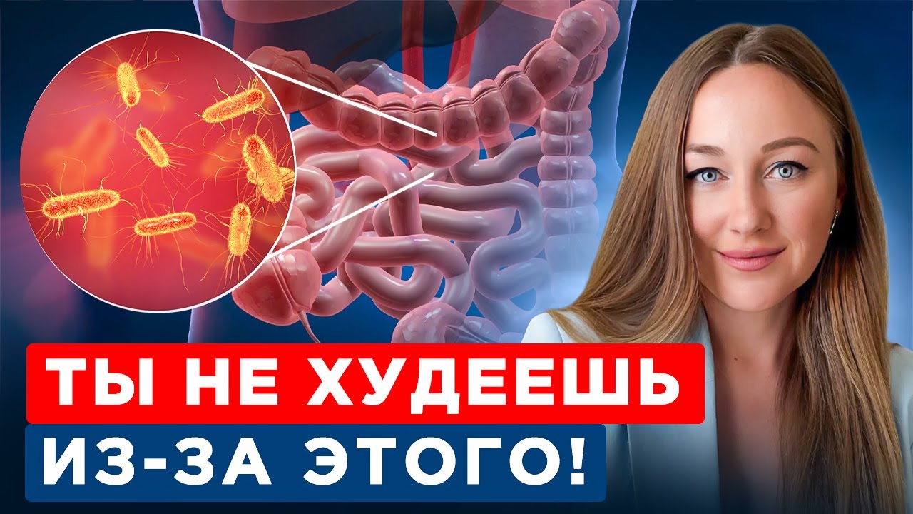 Инсулинорезистентность начинается с КИШЕЧНИКА