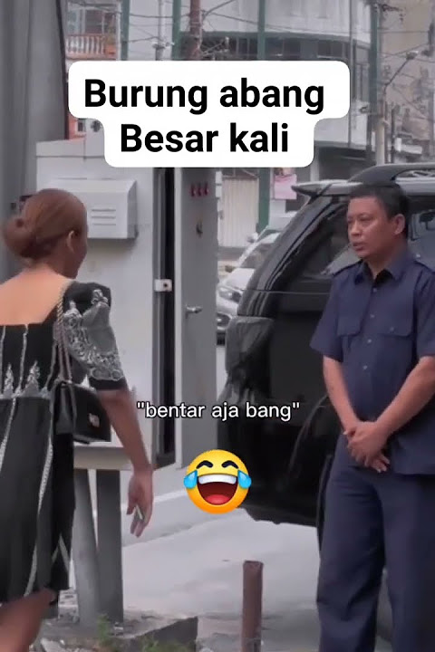 prank pegang burung