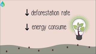 Details The environmental benefits of paper recycling - WELS (Waterpedia Environmental Learning Series) Update