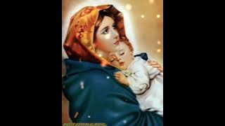 மாறா அழகே தாய் மரி பாடல் மற்றும் வரிகள் ..../ Mercy Catholic Music 🎶