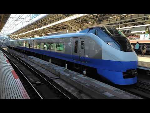 【特急ひたち16号品川行き】E657系カツK1編成（ブルーオーシャン塗装）が東京駅9番線に到着するシーン（16M）2025.09.06