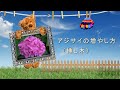 アジサイの増やし方　（挿し木）