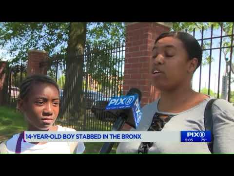 Gang responsible for vicious machete slaying allegedly attacked second teen in the Bronx