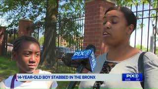 Gang Responsible For Vicious Machete Slaying Allegedly Attacked Second Teen In The Bronx