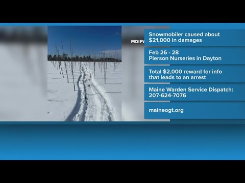 Snowmobile Salvage Yards In Maine