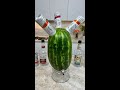 White Claw Watermelon Keg