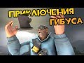 TF2: Приключения Гибуса!