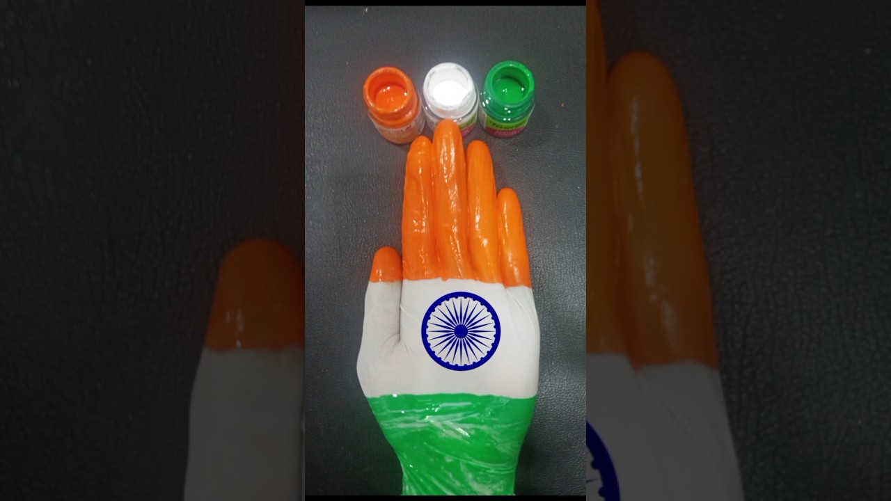INDIAN MINI FLAG PANTING 🇮🇳