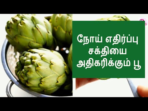 கூனைப்பூவின் மருத்துவ பயன்கள் / Artichoke benefits in Tamil