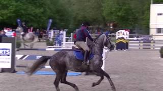 Icero Van De Kat Cicero X Darco 1.20 Baremac In De Ster