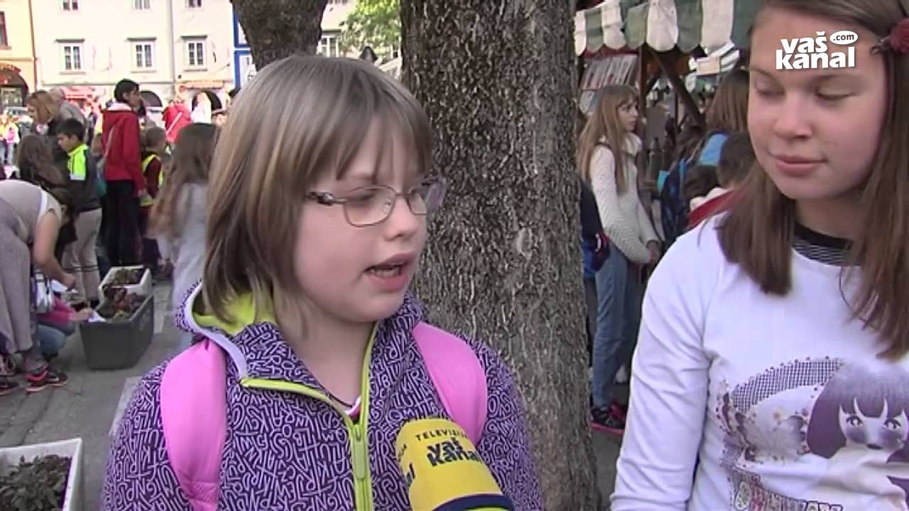 Novo mesto živi, 2. maj 2016