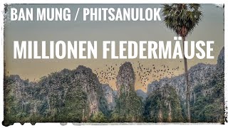 Millionen Fledermäuse Gehen Auf Die Jagd Ban Mung Noen Maprang District - Provinz Phitsanulok