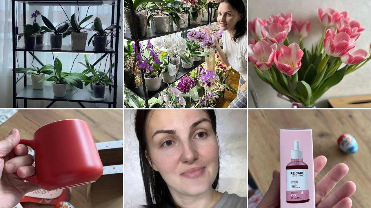 ✨Аврора|| встановила стелаж| кислотний пілінг| домашні клопоти 