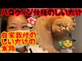 自家製しいたけ栽培の末路はハロウィンにぴったりな魔女の帽子(巨大すぎるしいたけ)