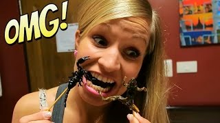 EATING SCORPION CHALLENGE