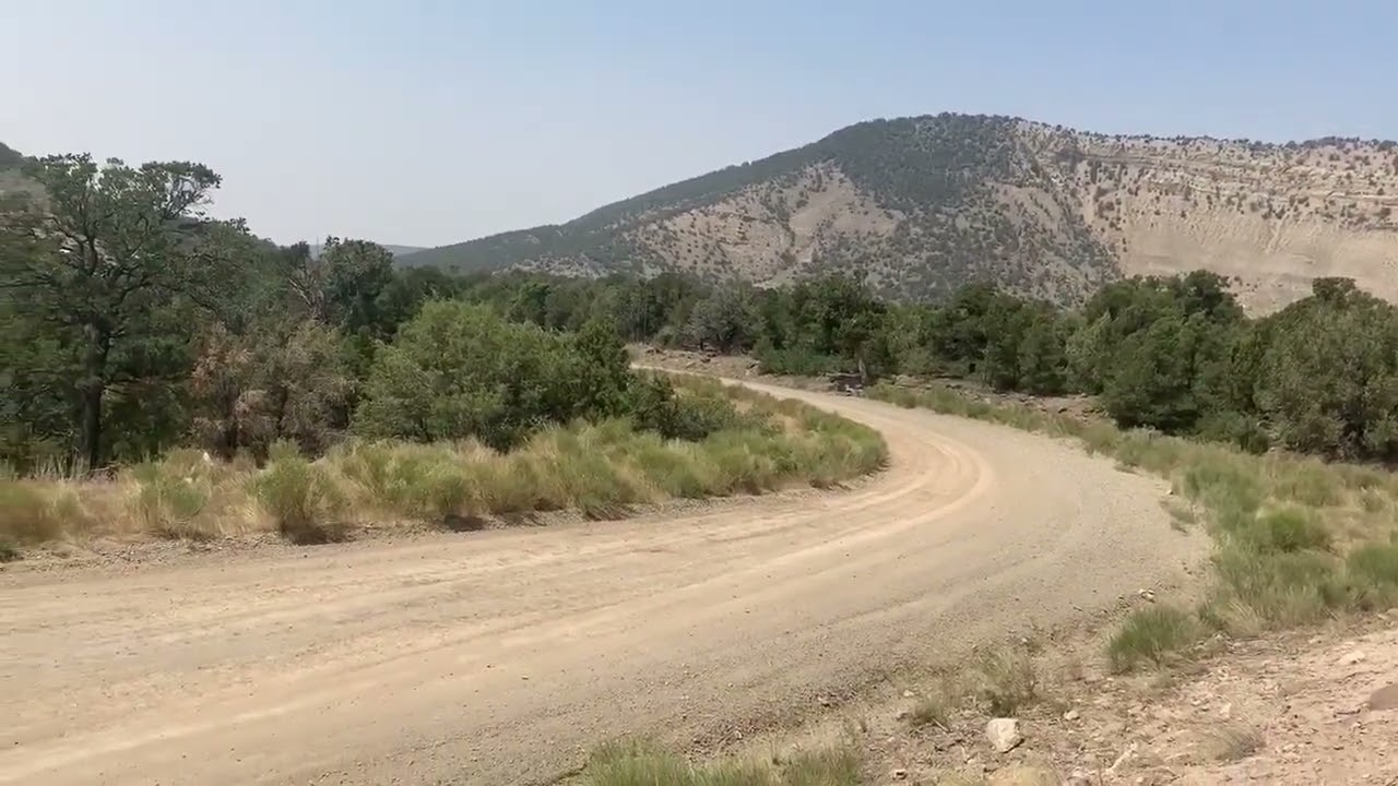 2nd Gen firebird ultimate build