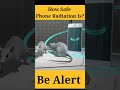 phone radiation effects on humans #bodyinsight #radiation