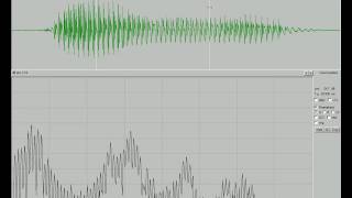 Famous Tasko Speech Lab: TF32 Spectrum Display Part 1 Profile