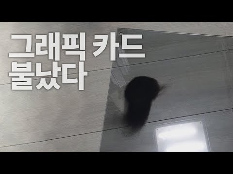 그래픽 <strong>카드에</strong> 불이 났어요 ♨(*￣o￣)♨  왜 났을까요?