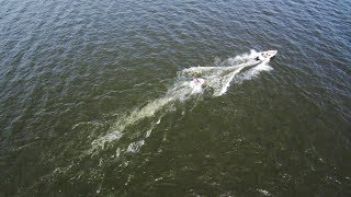 PRACHTIGE DRONE BEELDEN!~DRONE ACHTERVOLGT BOOT!! screenshot 4