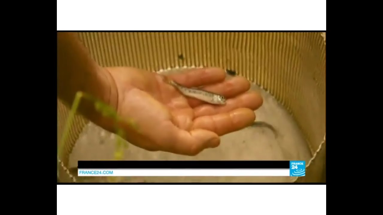 Colorado river: High levels of arsenic and heavy toxic metals found